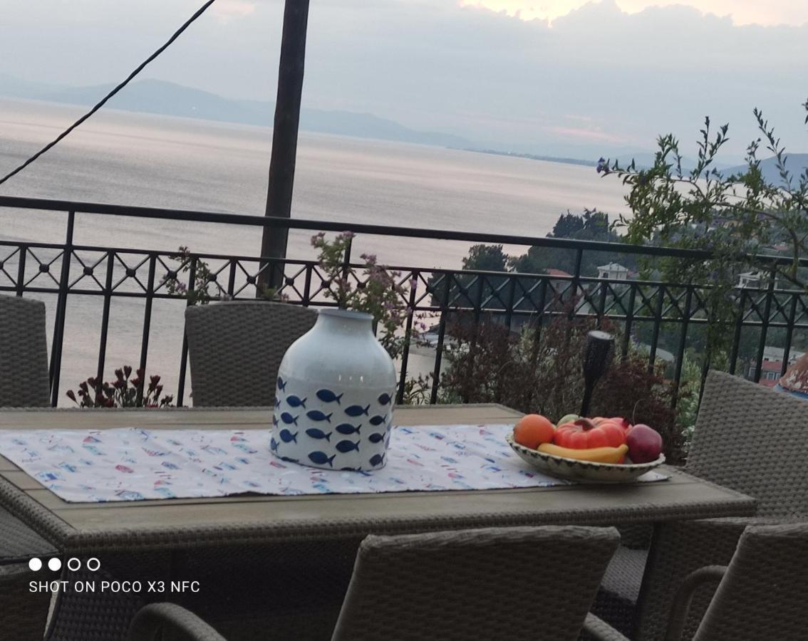 费索斯Mesonisi Με Υπέροχη Θέα Στον Παγασητικό!!别墅 外观 照片